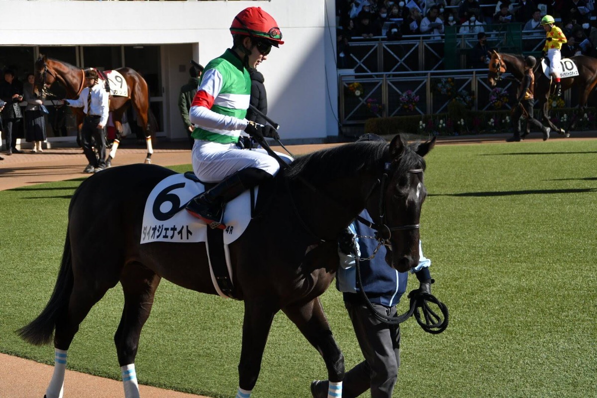 ダイオジェナイト 3歳未勝利