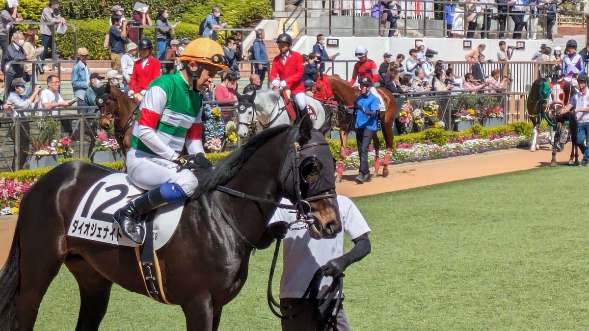 ダイオジェナイト 3歳未勝利