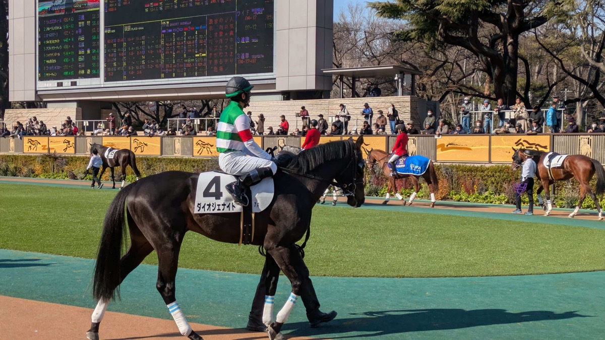 ダイオジェナイト 4歳以上1勝クラス
