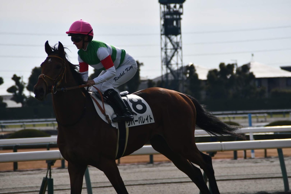 リバーバレイト 3歳新馬