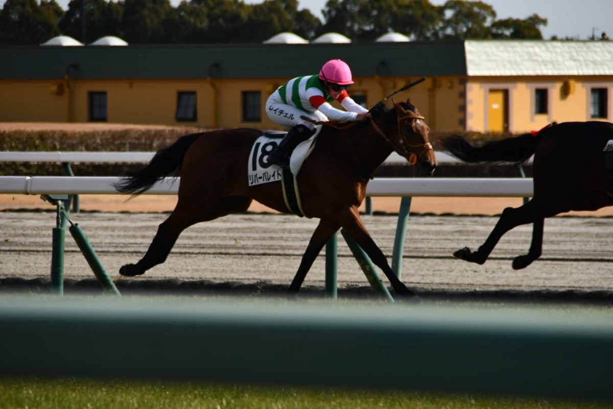 リバーバレイト 3歳新馬