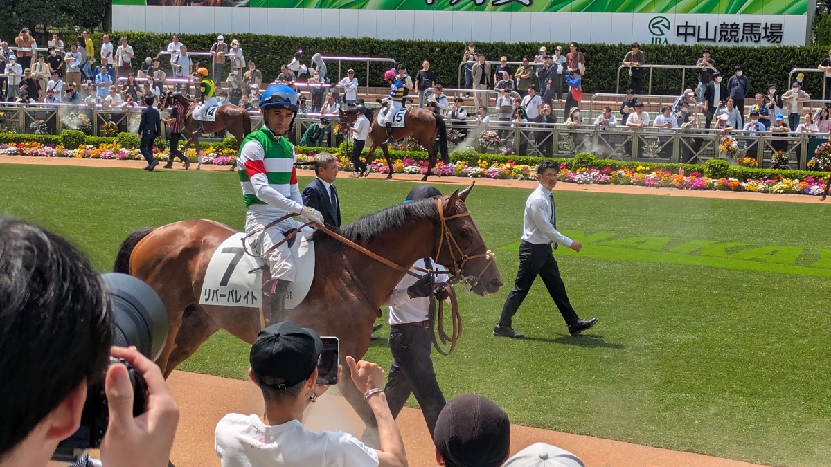 リバーバレイト 3歳未勝利