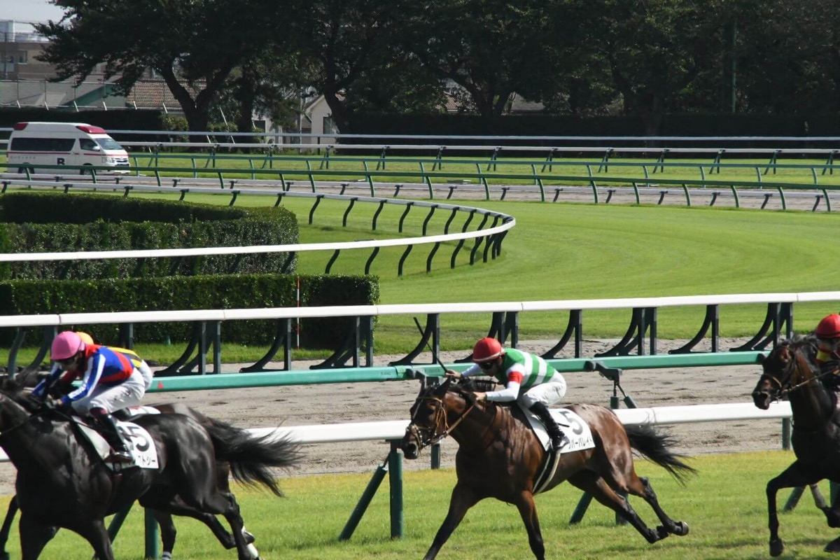 リバーバレイト 3歳以上1勝クラス