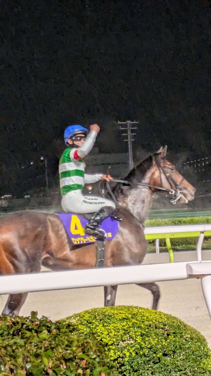 ロックターミガン 京浜盃競走