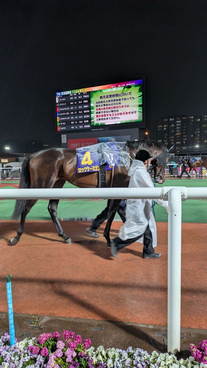 ロックターミガン 京浜盃競走