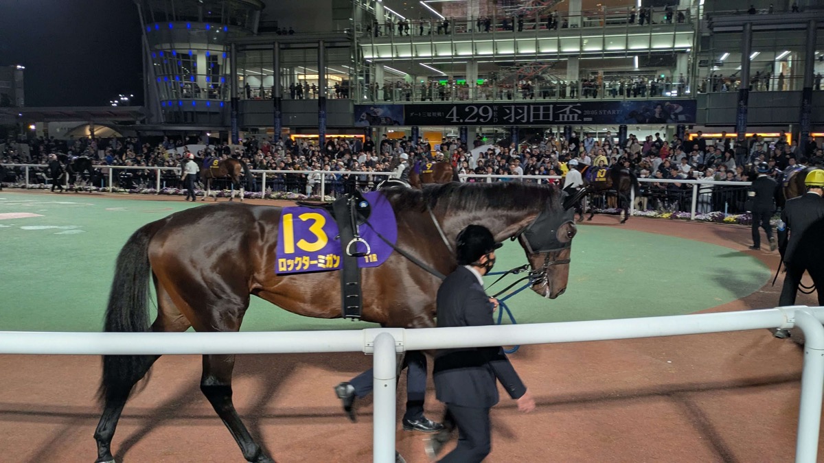 ロックターミガン 羽田盃競走