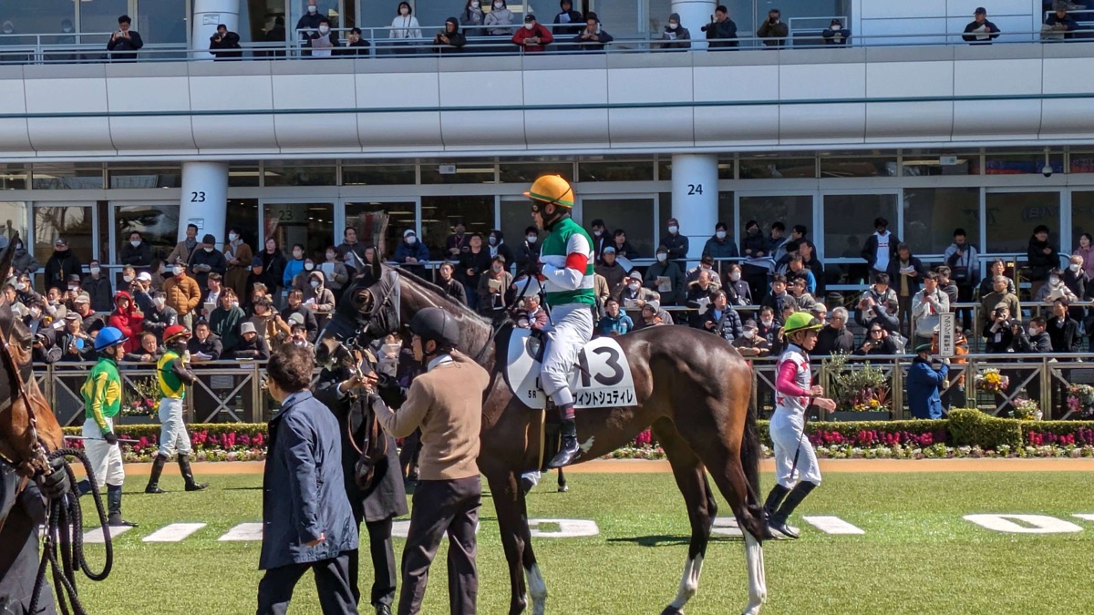 ヴィントシュティレ 3歳未勝利