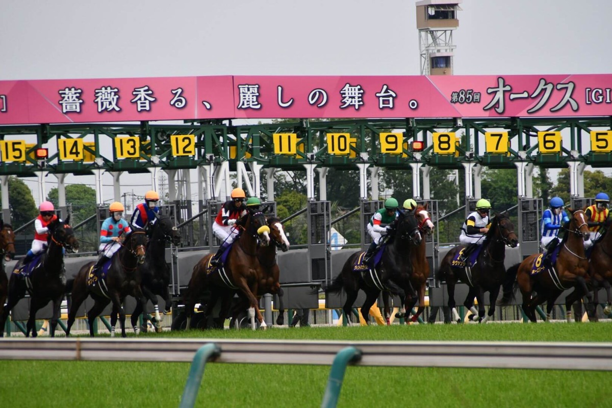 ヴィントシュティレ 優駿牝馬