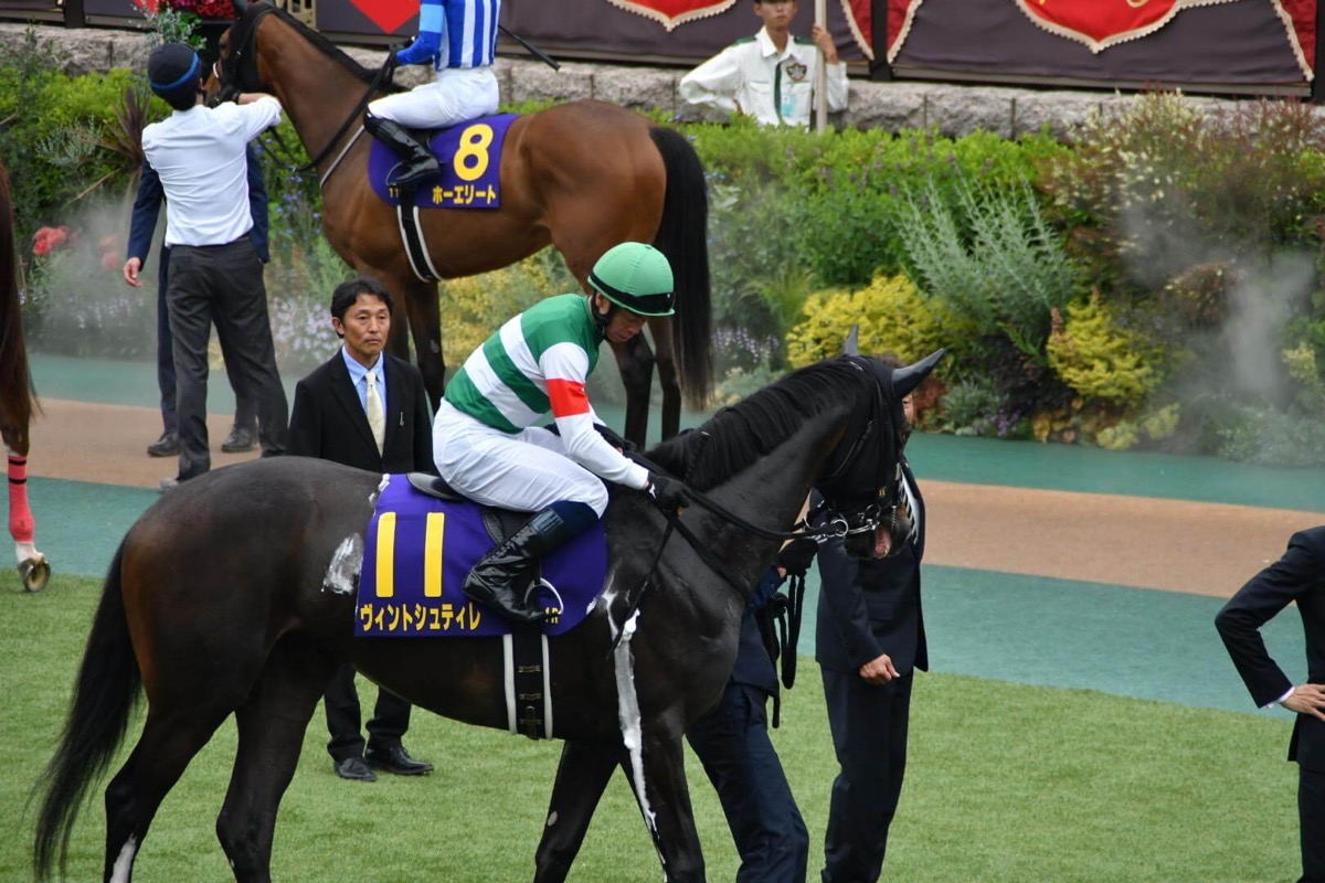ヴィントシュティレ 優駿牝馬