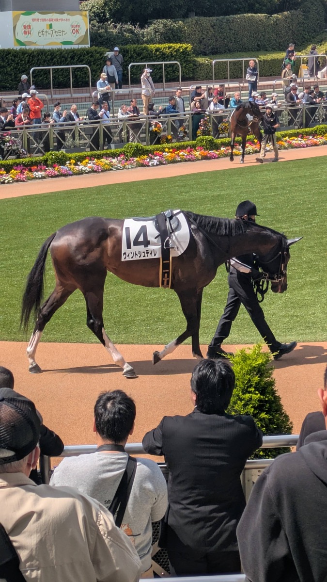 ヴィントシュティレ 4歳以上1勝クラス